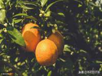 宁夏乐忆企业营销策划有限公司