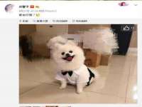 宁夏乐忆企业营销策划有限公司