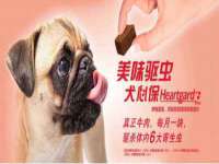 宁夏乐忆企业营销策划有限公司