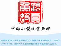 宁夏乐忆企业营销策划有限公司