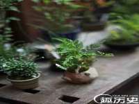 宁夏乐忆企业营销策划有限公司