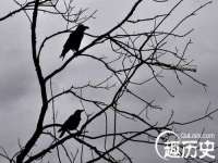 宁夏乐忆企业营销策划有限公司