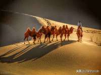 宁夏乐忆企业营销策划有限公司