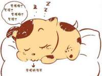 宁夏乐忆企业营销策划有限公司