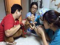 宁夏乐忆企业营销策划有限公司