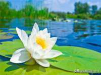 宁夏乐忆企业营销策划有限公司