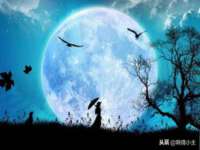 宁夏乐忆企业营销策划有限公司