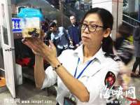 宁夏乐忆企业营销策划有限公司