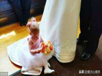 宁夏乐忆企业营销策划有限公司