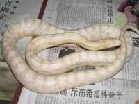 宁夏乐忆企业营销策划有限公司