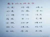 宁夏乐忆企业营销策划有限公司