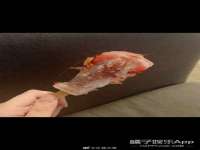 宁夏乐忆企业营销策划有限公司
